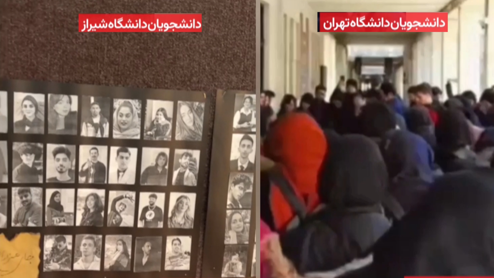 دانشجویان دانشگاههای تهران، فردوسی مشهد و شیراز یاد شهیدان قیام دیماه را گرامی داشتند